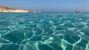 Grandi Appartamenti Porto Vecchio