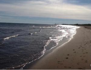 LUXURY ROSE COTTAGE ,ABOITEAU BEACH,CAP PELE