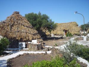 Ovile Juanne Loddo img77