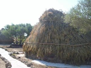 Ovile Juanne Loddo img79