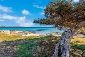 SARDINIA RE - Villa Pelosa img38