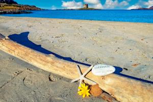 SARDINIA RE - Villa Pelosa img39