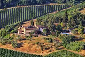 Agriturismo La Valle A Polvereto