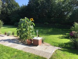 Ferienwohnung Kajüte