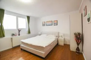 Transylvania Guest House - 泽尔内什蒂