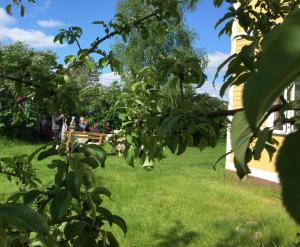 STF Tre Björnar B&B