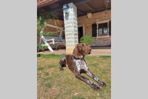 Kuća Capadinka - experience life of locals