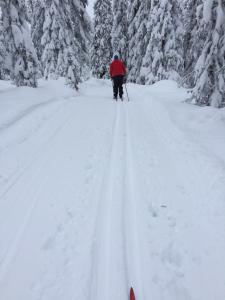 STF Tre Björnar B&B