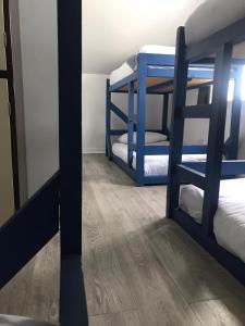 Bed in 6-Bed Mixed Dormitory Room room in Finn McCools Giants Causeway Hostel