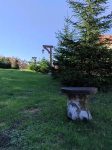 Vila Hajdi Planina Tara