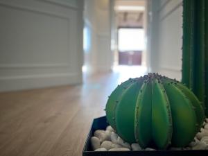 Passeig de Gràcia by Enjoybcn