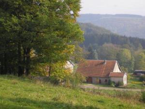 Maisons de vacances Les Brimbelles : photos des chambres