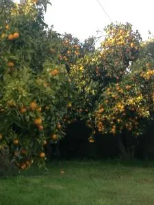 victoryAngel - San Juan