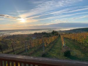 Kellerstöckl Weinblick I und II