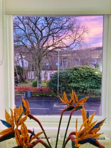 Superior Double Room room in Fernbank House