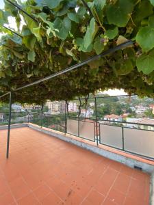 CASA MIMOSA: relax, vista mare, parcheggio gratis