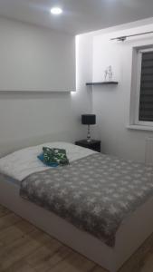 Apartament Morski przy plazy