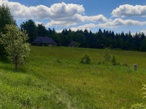 Kuźnia Nowica