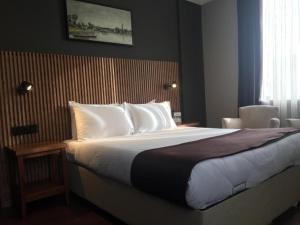 Standard Double or Twin Room room in Gosterisli Otel