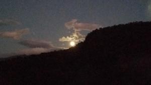 Casa Verde da Floresta da Gávea