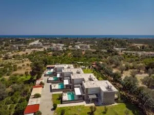 Olive Tree Villas Afandou - Psinthos