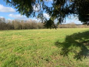 B&B / Chambres d'hotes Aux Fines Bulles Gite et Chambres d hotes : photos des chambres