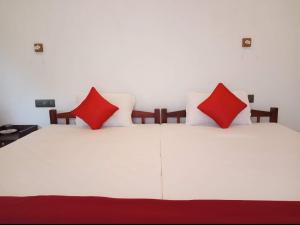 Lakefront Beach Homes