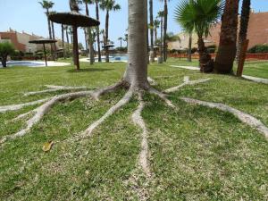 Apartamento en Jardines de Zahara F4A