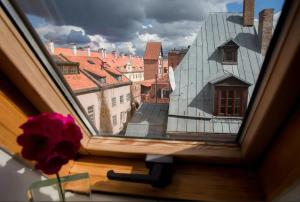 Sunny mansard in the heart of Old Town