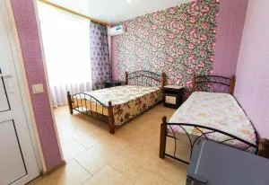 Гостевой дом АЛЬВИНА - Tsandrypsh