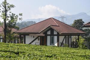Jeevess Retreat Wayanad