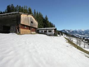 Chalet in Hopfgarten Brixental in ski area