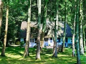 Küstenwäldchen - Rabenkirchen-Faulück