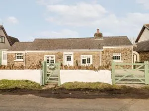 Cobwebs - East Williamston