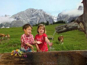 Spacious flat near the ski area in Salzburg