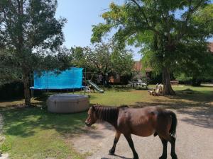 Maisons de vacances Le Relais de Chavagne : photos des chambres