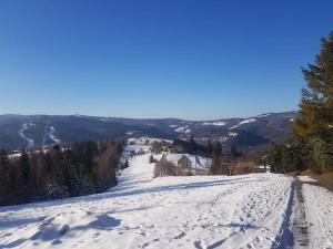 Pokoje Gościnne Angelika