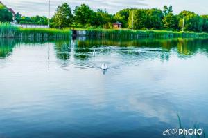 Приозерний заїзд