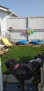 The Sun Trap @ Bridlingtons Bed & Bowl Beach Breaks