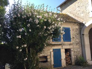 B&B / Chambres d'hotes L'Estancat : photos des chambres