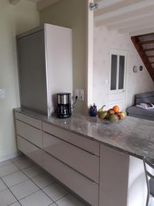 Appartements Le logis de LANGE apt Les Aigrettes : photos des chambres