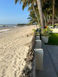 Oasys House - Beautiful Private Beach Front Home