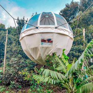 Quinta do Abacate - Glamping Park