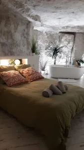 La Trog'Laudy gîte 4 étoiles au coeur des vignes - Vouvray