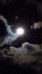 Casa Verde da Floresta da Gávea