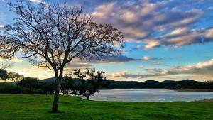 Finca La Vicaria ROMERO