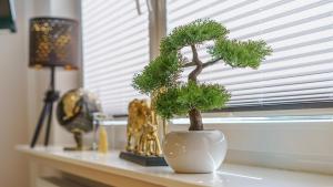 Ferienappartement Ennens