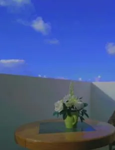 johnny's studio - Sottise