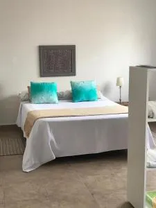 Soya Departamentos B - Augustín Roca