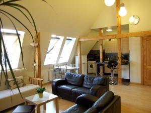 Sunlit Loft Apartment Riga